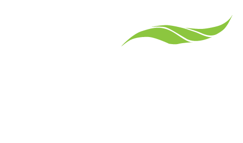 Rodney Brooks